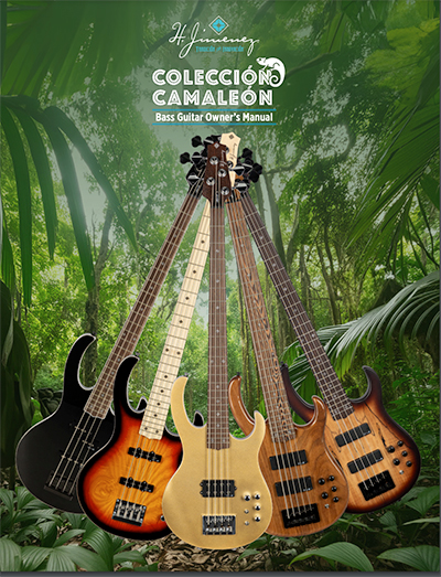 Bass Guitar Manual